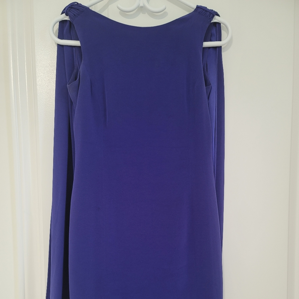 Gorgeous Dress in EUC